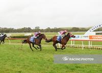 Tommy Standup and Hecta win at Casterton