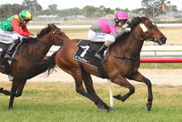 Purrfect Trick wins two on the trot