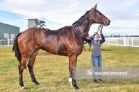 Gentle Giant wins at Donald