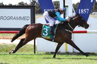 Forbid Me Not salutes at Ararat