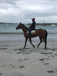 Tassie win for Doc Holliday
