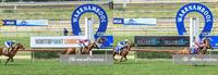 Double Delight at the 'Bool