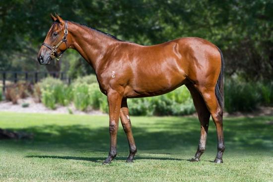 All To Hard X Libor Lady