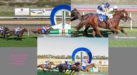 Wilde Racing produce a treble at Hamilton