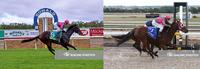 Maiden Delight for Shamal Lass and Vassa Blue