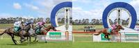 Wilde Racing's domination at Hamilton continues