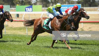 No Commitment finally commits to break through for maiden win