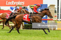Strong win by Kazio continues the Lord Lodge winning streak