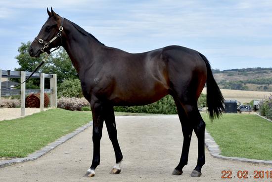 Lodestar