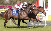 Kazio gets his first metro win