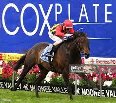 El Segundo Cox Plate win.jpg