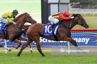 Peko and Prebble combine for metro win