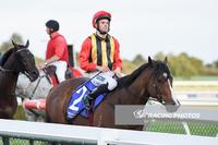 Zac Spain and Kazio make it 3 from 3 at Sandown