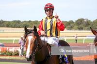 Lachie King steers Kazio to his second metro win