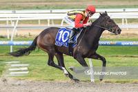 Vegas Knight breaks maiden in style