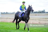 Lodestar heads to Echuca for his maiden win