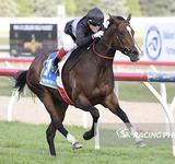 Our Guardian Angel gets her first win