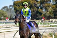Lodestar claims second win after ultimate gear change