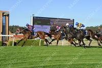 HIGH RUSH remains unbeaten this prep after Wyong win!