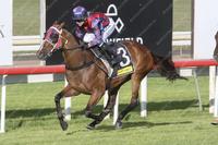 High Rush in a rush as she wins at Scone!