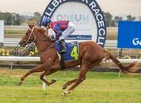 Star Alibi sparkles on debut!