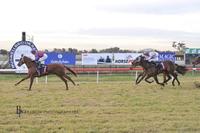 Star Alibi makes it two from two at The Brook