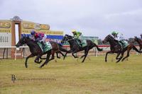 Myboycolly scores another victory at Cessnock