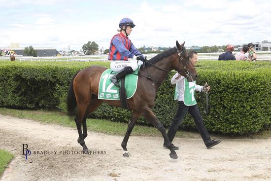 Solvency