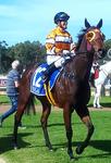CHITICHANT WINS HER FIRST RACE AT HER SECOND GO!