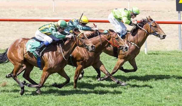 Bumper Month for Watkins Racing