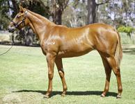 Shares Available in Two Super Fillies
