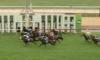 Invincible Dream gives Pepper Racing Ideal Start for the Year