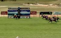 Bank Of Erin Romps in at Sapphire Coast