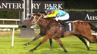 Viceroy Continues his Love-Affair with Canterbury