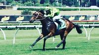 Racing NSW take a Bow