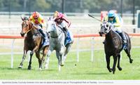 Canberra trainer Luke Pepper savours his own 'Melbourne Cup win'