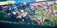 Viceroy Sizzles in the Ramornie HCP