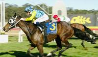 4 and 4 for Mares