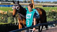 Gold Touch scores back to back wins