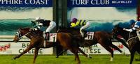 El Nieto Scorches the Turf