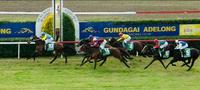 Snowbrook Wins at Gundagai