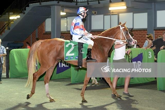 Tea Tree Gully Salutes at Cranbourne