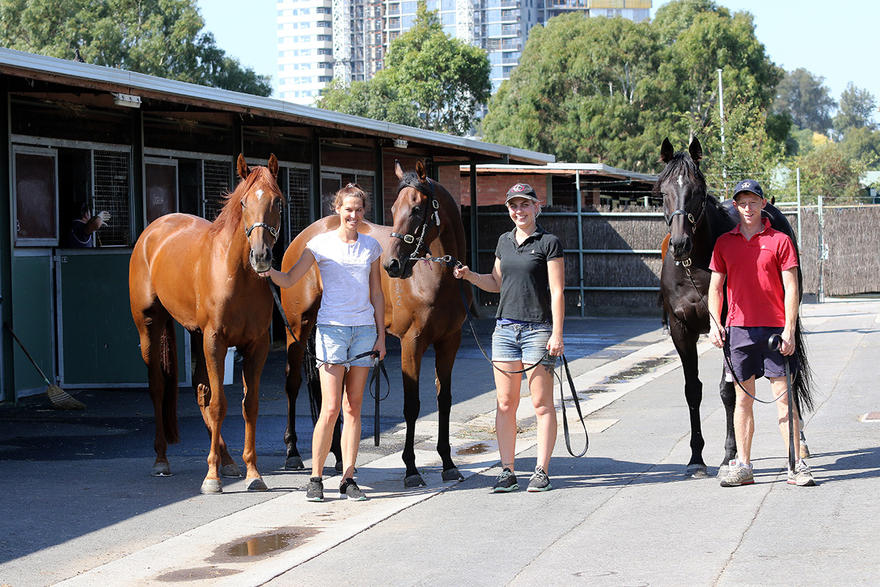 Best strike-rate in the state