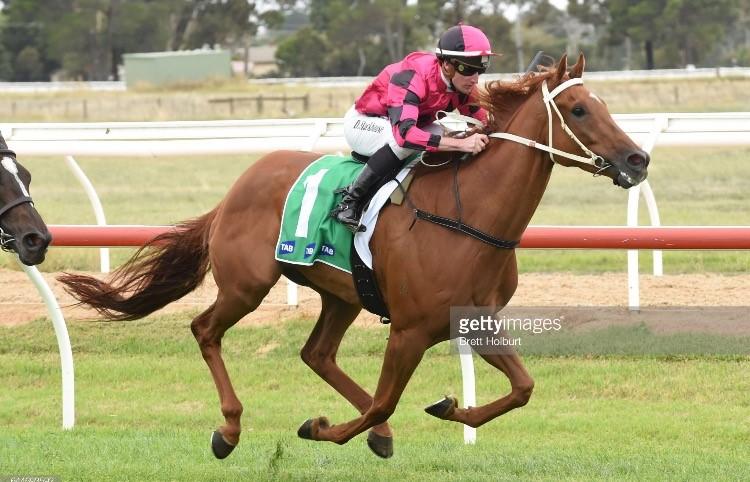 HE'S A WINNING MACHINE