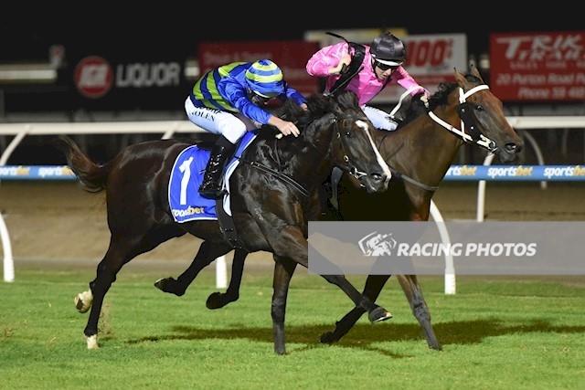 Boogie all night long