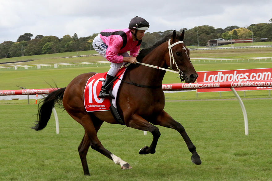 THE THUG BOSSES THEM AT MORNINGTON