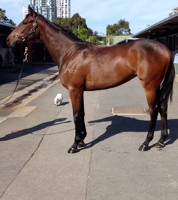 Written Tycoon X Rhythmic Rossa