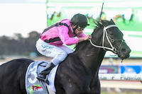 BAG RAIDER DELIVERS AT BENDIGO