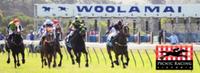 A DAY AT THE RACES