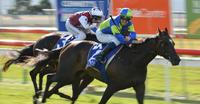 Ocean Embers Triumphs Again Group 3 Bow Mistress Stakes Hobart